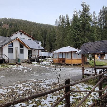 Complex Transalpina Lac Voineasa Kültér fotó