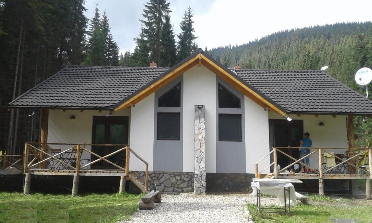 Complex Transalpina Lac Voineasa Kültér fotó